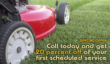 Lawn Care Offer